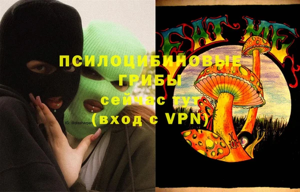 ГАЛЛЮЦИНОГЕННЫЕ ГРИБЫ Козельск