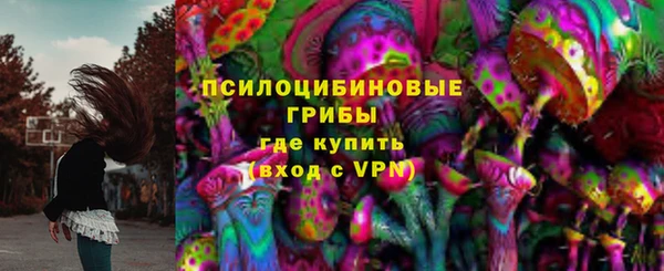 ГАЛЛЮЦИНОГЕННЫЕ ГРИБЫ Козельск