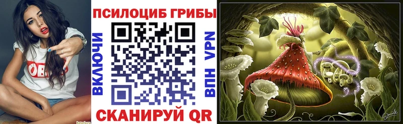 Псилоцибиновые грибы Magic Shrooms  Купить где  Кодинск 